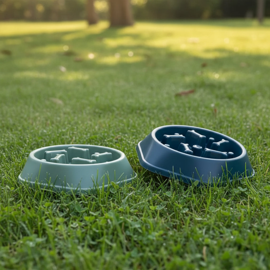 Slow Feeder Pet Bowl