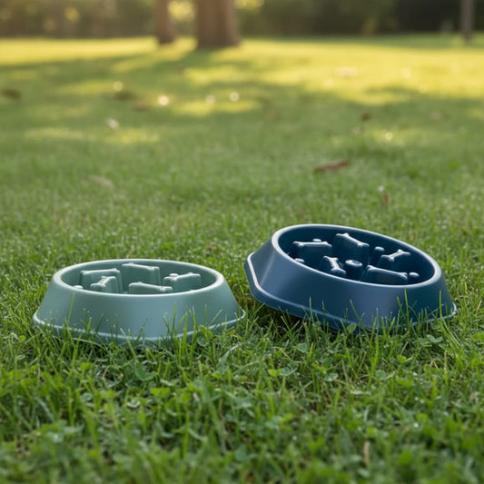 Slow Feeder Pet Bowl